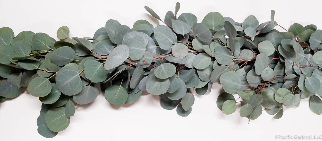 Refresh and Revitalize: The Benefits of Eucalyptus in Bar Soaps
