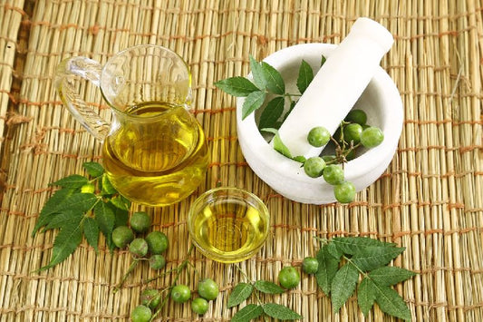 Embrace Natural Skincare: The Benefits of Eucalyptus Oil and Neem for Oily Skin